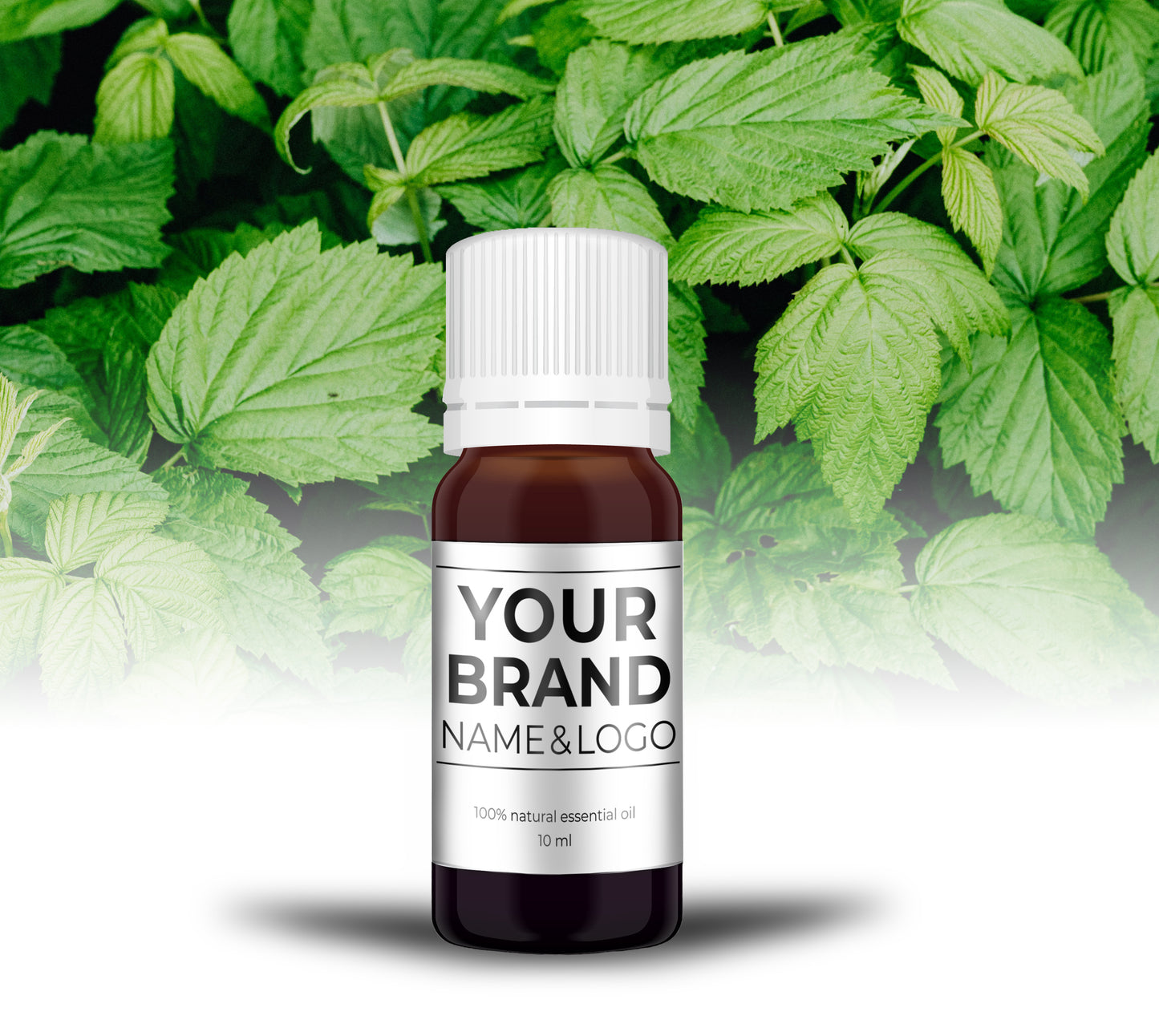 Pepermunt - 10 ml - 100% Natuurzuivere Etherische Olie