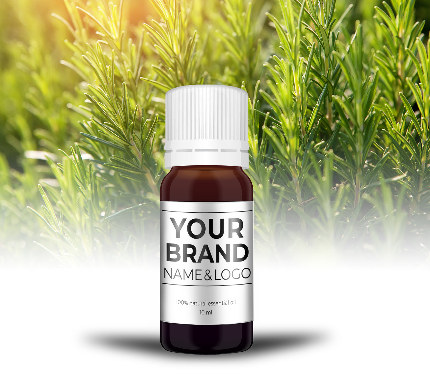 Rozemarijn - 10 ml - 100% Natuurzuivere Etherische Olie