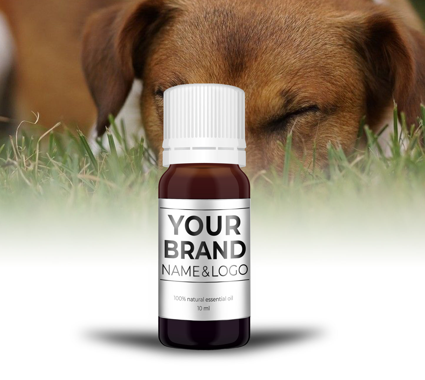 Pet Relax (Dog) - 10 ml - 100% Natuurzuivere Etherische Olie